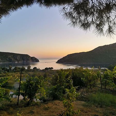 Porto Koufo Resort Bungalows Dış mekan fotoğraf