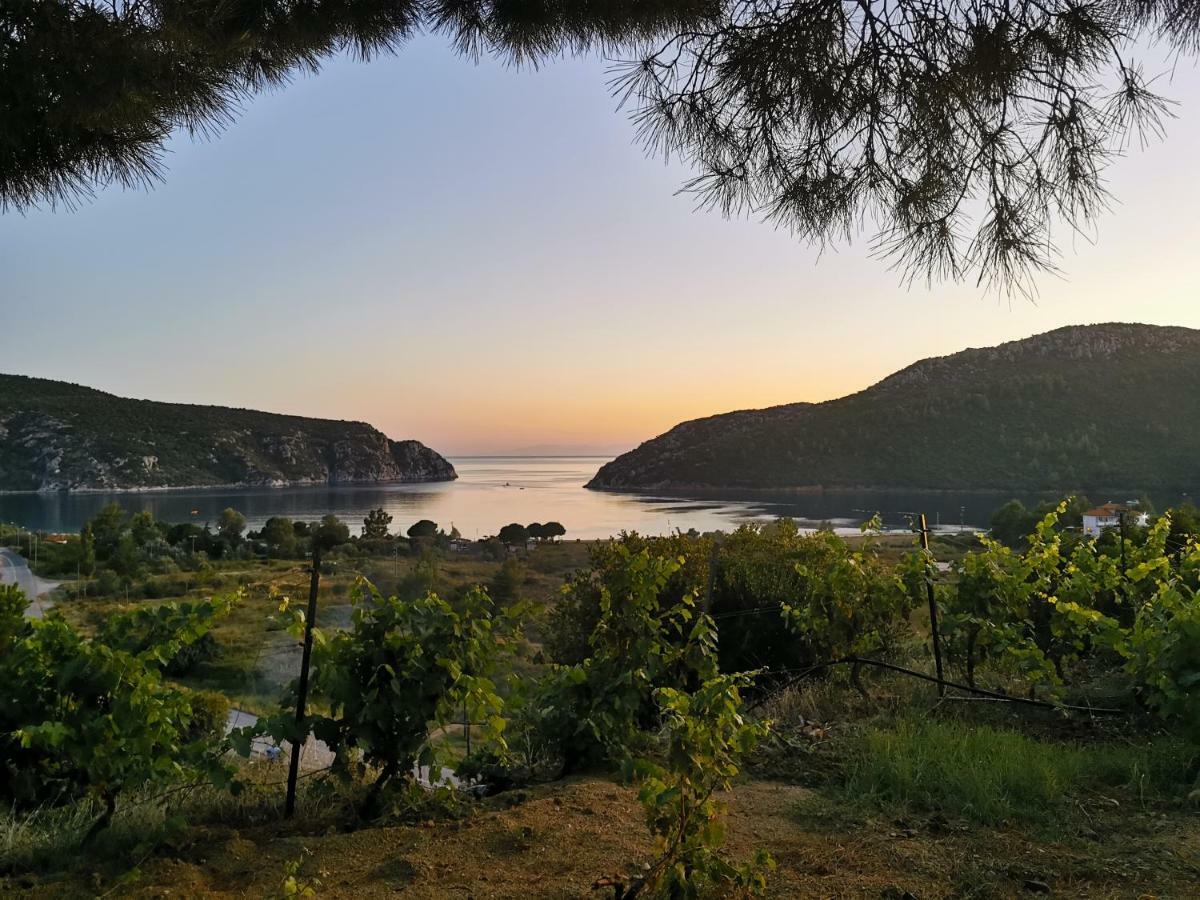 Porto Koufo Resort Bungalows Dış mekan fotoğraf